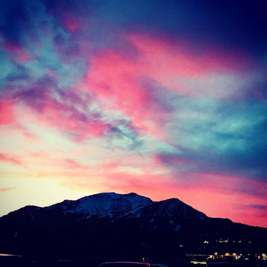 Mountainback #49, Den * Mammoth Lakes
